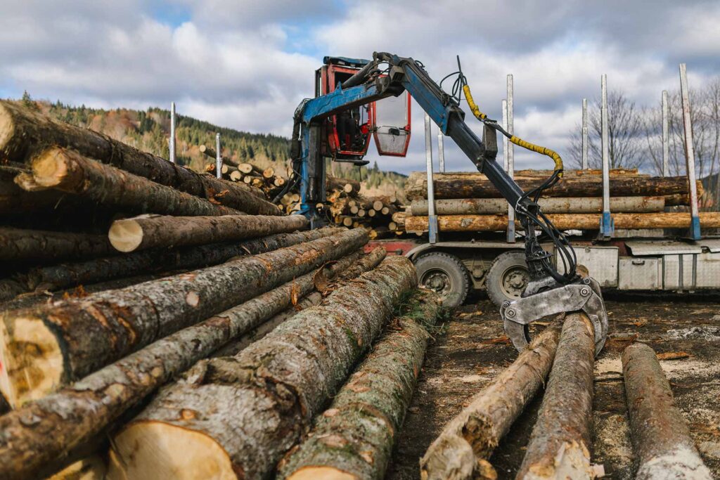 Gruppo Klytos | Decking WPC - Legni Esotici per Pavimenti